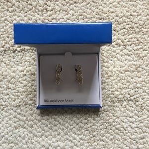 Small Loop Pierced Earrings